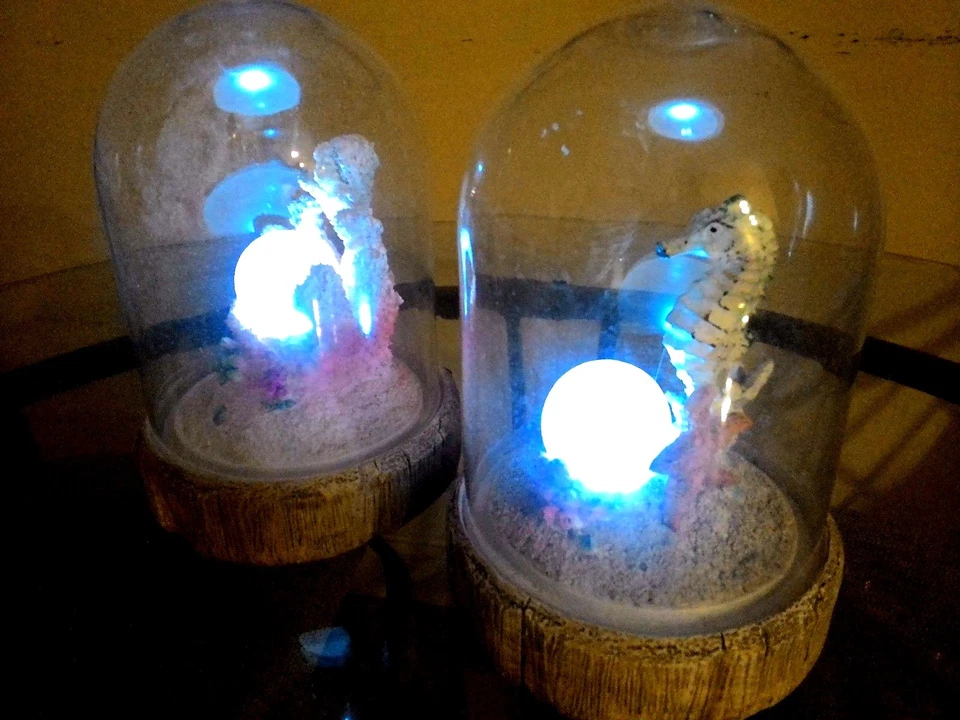 2 X NOVA Luz LED Solar Pearl Mood & Seahorse em Tampa de Vidro 8,5" A X 5,5" W - Imagem 2 de 4