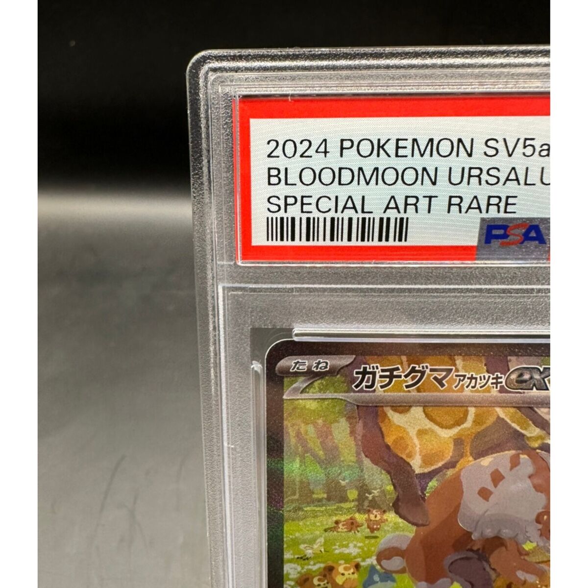 PSA 10 Bloodmoon Ursaluna ex 091/066 SAR sv5a Crimson Haze PSA 10 Bloodmoon Ursaluna ex 091/066 SAR sv5a Crimson Haze