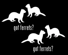got ferrets?  Graphic White Vinyl Decal Car Windows Laptop Tablet notebook