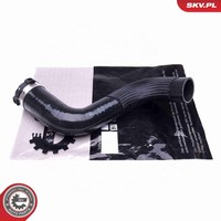 Ladeluftschlauch Esen SKV 43SKV282 FüR Renault Megane 3 DZ0 ScÉNic JZ0 CC EZ0