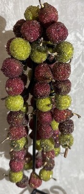 Sugared Fruit Coated Beaded Christmas Tree Garland 60 Inch Apple Pear Plum