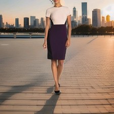 Vince Camuto Bi-Stretch Color Block Dress Sz 12#376-F