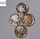 1916+1917+1919+1921 Buffalo Nickel Set/Lot ~ VG-Fine ~  ZBL99