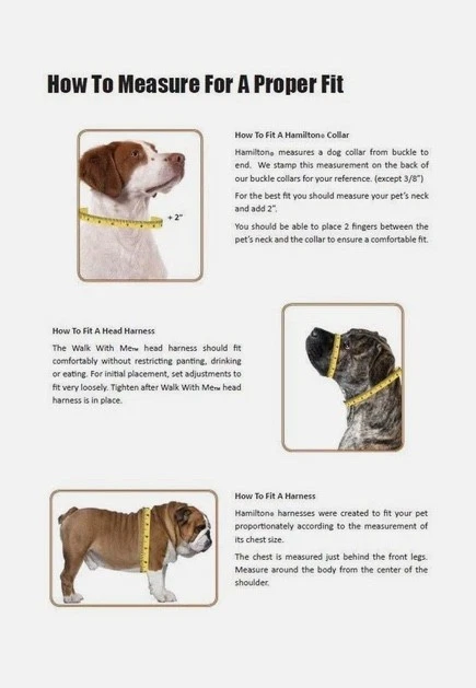 Hamilton Thick Nylon Deluxe Dog Collar 1" By 22" Black. New With Tags - Image 2 of 2