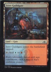 Izzet Guildgate (251) Guilds of Ravnica