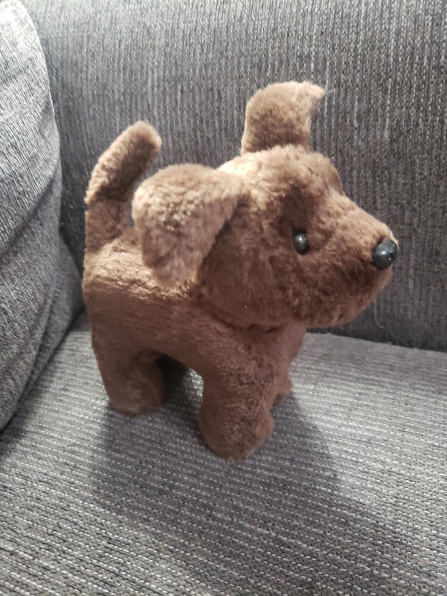 Dog chip collar top