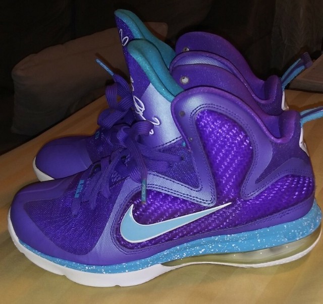 nike lebron james 9
