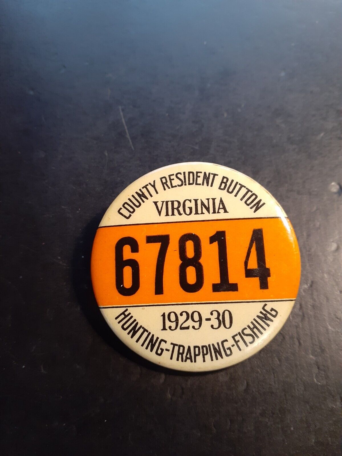 Virginia County Resident Hunting Fishing Trapping License Badge Pin 1929