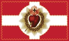 3 x 5FT Most Sacred Heart of Jesus Monthly June Flag Trad Flags Roman Catholic