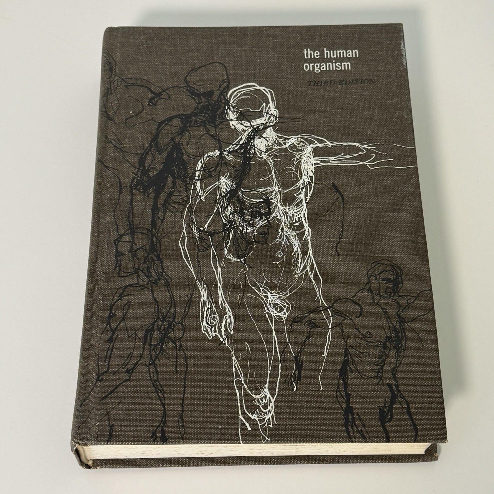 The Human Organism 3rd Edition Textbook Russell Myles DeCoursey 1968 McGraw-Hill