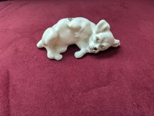 Gemma Crested China Bridlington wei&szlig;er Hund Stop Yet Tickling Jock.