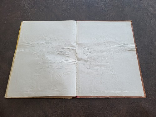 Comic Book The Beast Is Dead - Picture 11 of 12