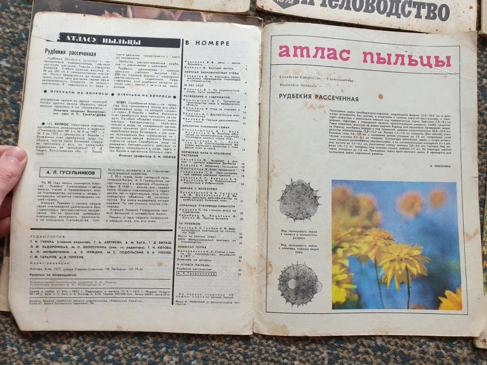 Beekeeping Set of 6x 1972 Soviet Vintage Magazines Russian USSR - Image 4 of 4