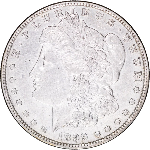 1899 $1 Morgan Silver Dollar ~ AU Details