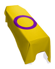 Intersex Pride Coffin Drape Flag - Premium Quality and Made To Order in the UK