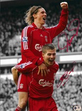 STEVEN GERRARD & FERNANDO TORRES SIGNED LIVERPOOL 16x12 PHOTO (ACG CERT AG17722)