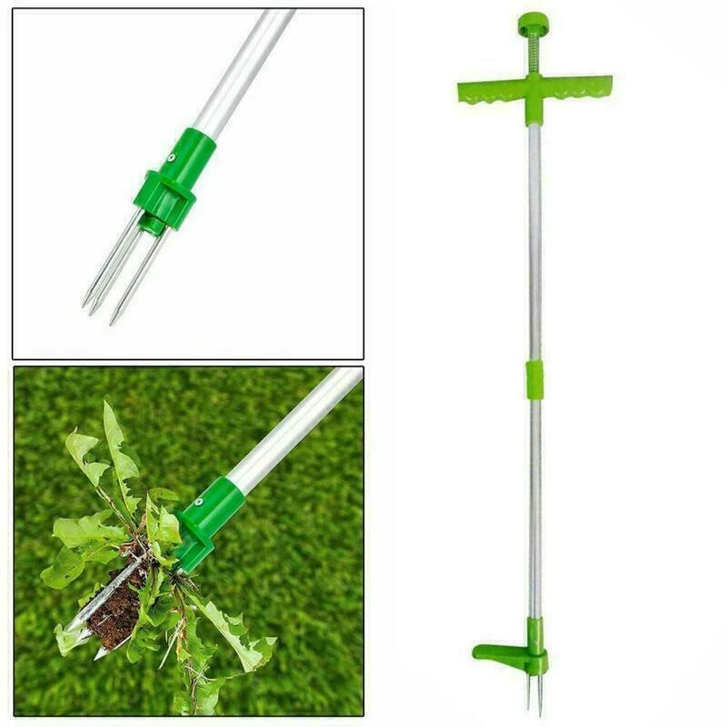 Unkrautstecher Löwenzahnstecher Unkrautenferner Unkraut Distelstecher grün  OL - Bild 4 von 4