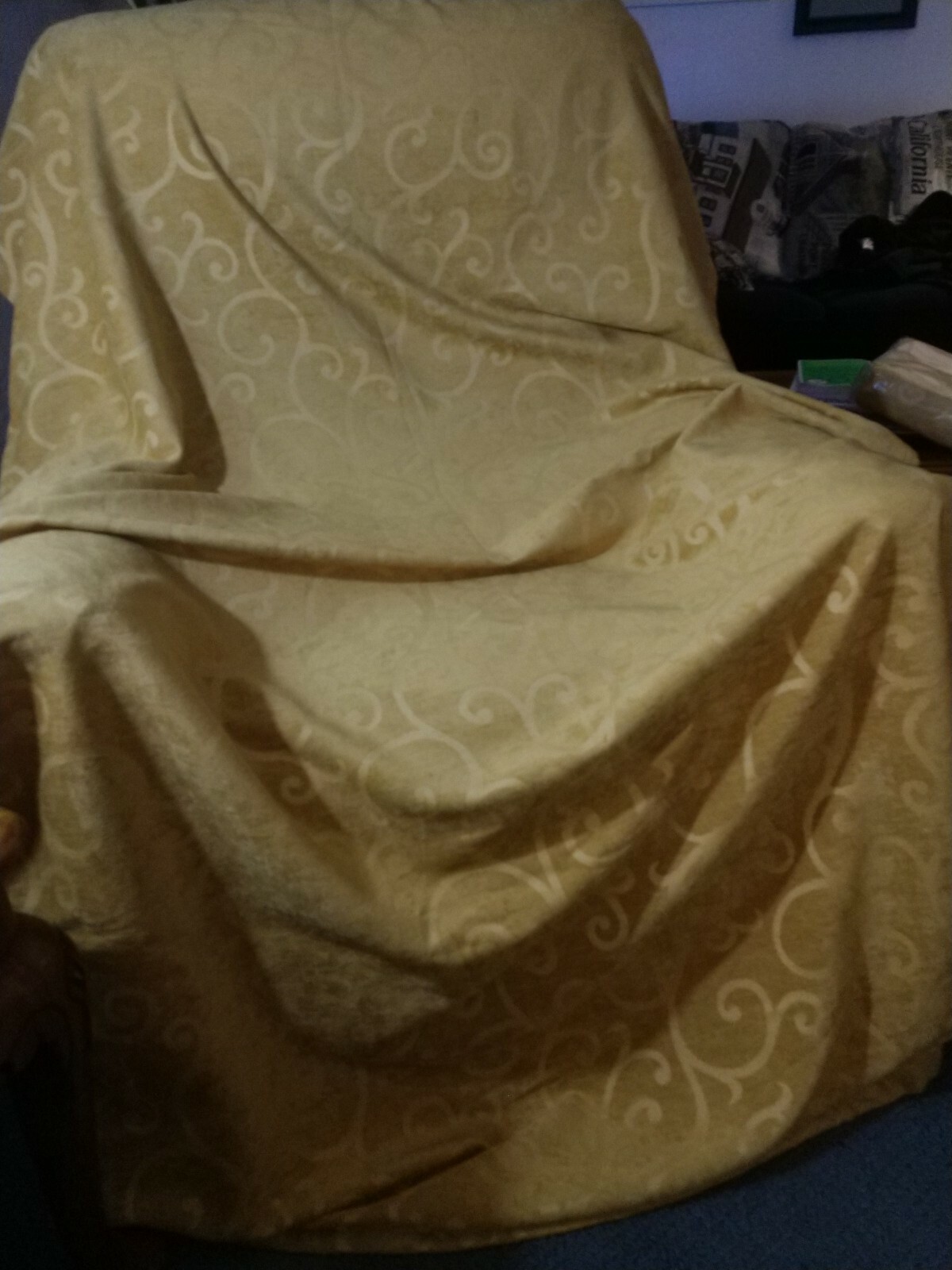 Picture 4 of 12