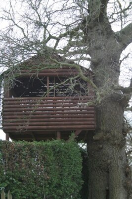 Foto 6x4 kaum sichtbar Sontley dieses schöne Baumhaus nur jetzt sichtbar du c2009
