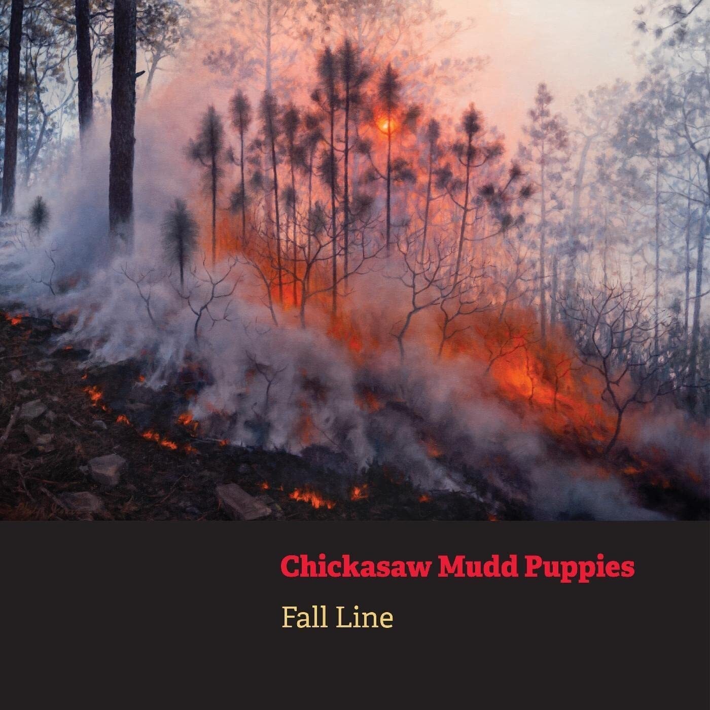 Осенний альбом Chickasaw Mudd Puppies (CD)