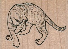 Cat Playing Rubber Stamp 2 1/2 x 1 3/4", Cat Stamp, Cute Cat Stamp, Kitty