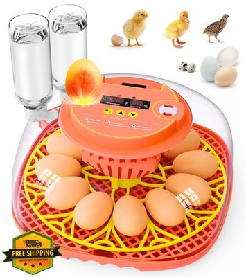 Brnvl 12 Egg Incubator Smart Control