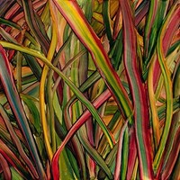 Gengahr - Where Wildness Grows - Vinyl Record - G3Z