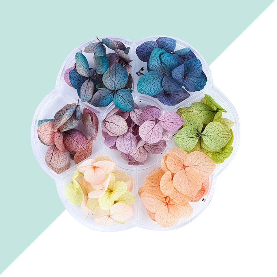 Flower Nail Art Dried Flowers Nail Real Dried Flowers Dry Flowers Nails