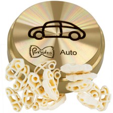 Bronze Screen Car