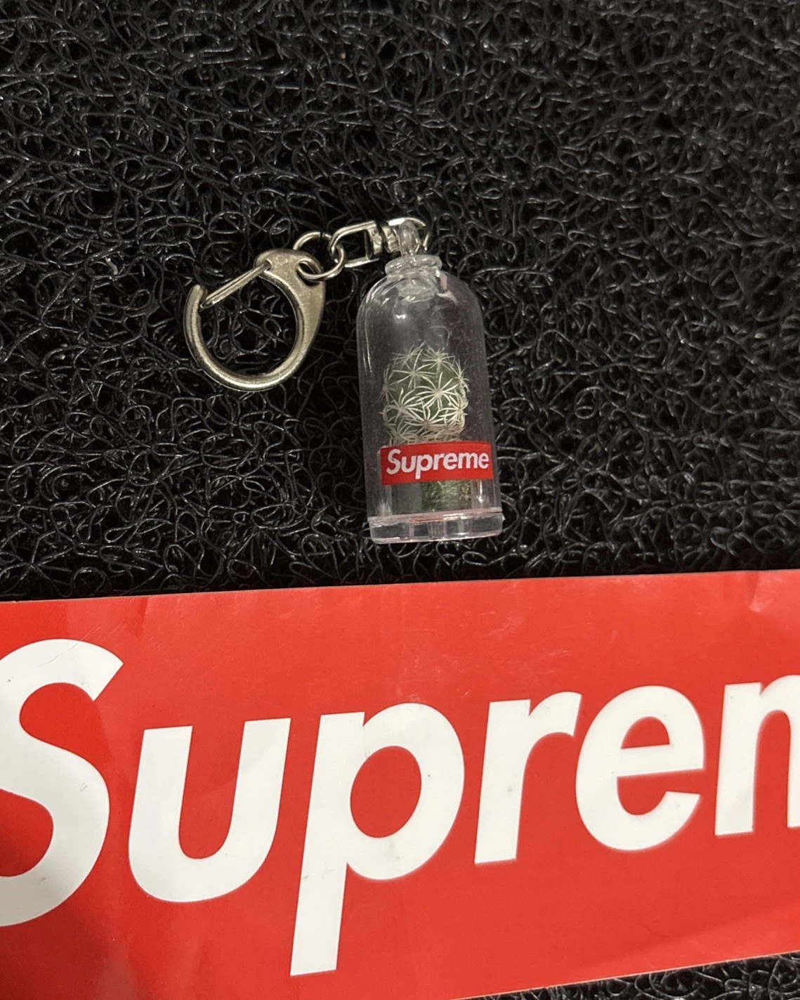 Porte clés Supreme Cactus Boîte Logo SS18