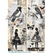 Monotone Bird Collage | A4 Rice Paper | Paper for Decoupage | AB Studios