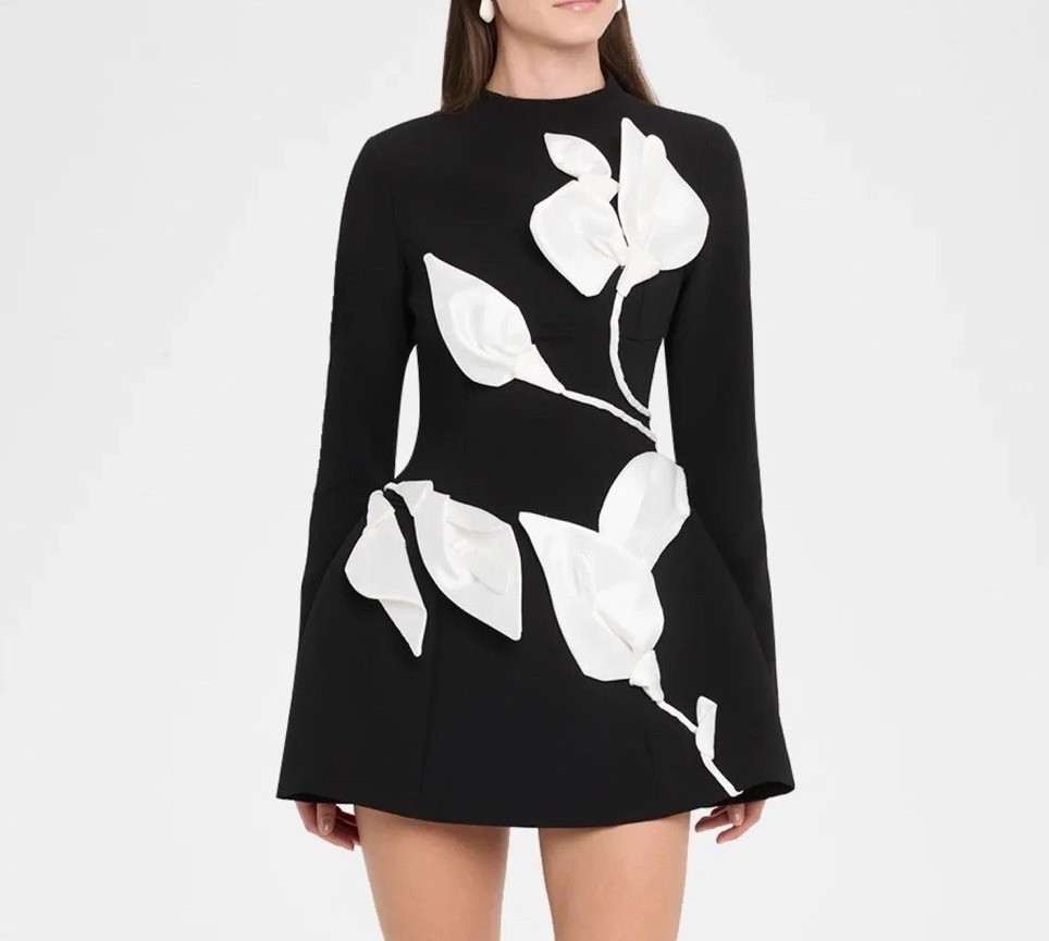 ACLER Kadence Mini Dress in black & Ivory $500 US 4