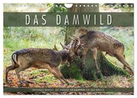 Calendar 2027 · US Version · Emotional Moments: The Fallow Deer. (Wall Calendar