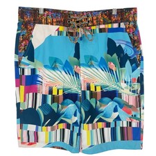 Robert Graham Men's Swim Shorts Abstract Tropical Palm Leaf Print Multicolor 34
