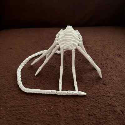 Alien Facehugger Articulated Model Joint-Flexible fidget nerd toy face hugger | eBay Alien Facehugger Articulated Model Joint-Flexible fidget nerd toy face hugger | eBay