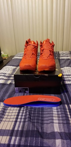 lebron red carpet 17