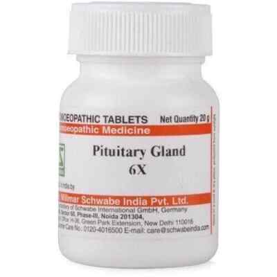 Willmar Schwabe India Pituitary Gland 6x (20g) Tablets Free Shipping World Wide
