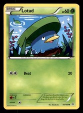 Lotad 10/160 Common Primal Clash Pokemon Lightly Played