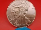 2013 American Silver Eagle 1 Ounce Brilliant Uncirculated Beautiful!