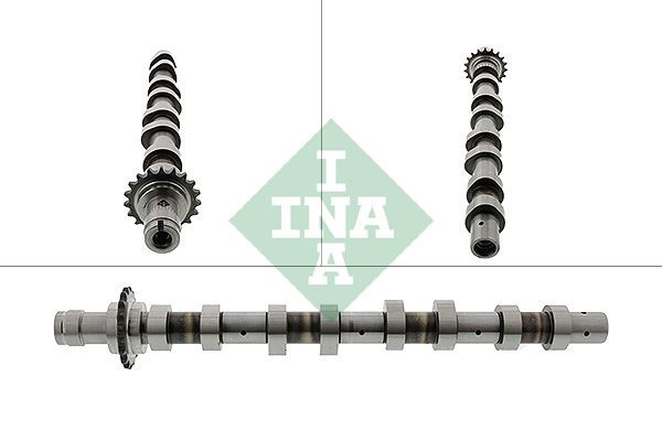 Neu - Schaeffler Ina 428011910 Nockenwelle FüR CitroËN Passend FüR Fiat Ford-image