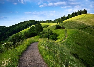 Poster-Wandkunst mit ruhiger grüner Landschaft für Heimdekoration Land