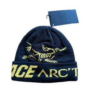 Palace Arc`teryx | eBay