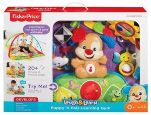 fisher price puppy play mat