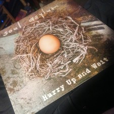 Image of Soul asylum hurry up and wait 2x lp. New sealed 