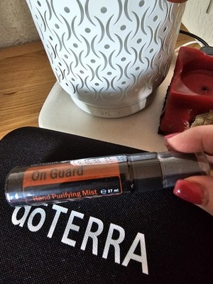 On Guard Handreinigungsspray 27 ml Neu Ovp