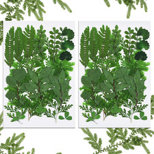 42-Piece Assorted Dried Pressed Leaves for Resin Art and Craft Decorations