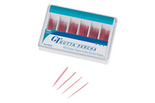 DentSply GT Gutta-Percha Endodontic Points 60/Pack 