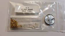 🔥Alaskan Gold Fines 0.994 Grams💲 No Reserve💲Affordable AU🪙 Item #1