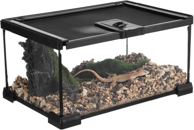 Mini Reptile Glass Terrarium 12''X8''X6'', Full View Rainforest Vivarium Tank, Stac