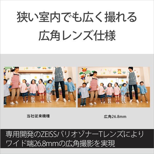 ソニー FDR-AX45A TI 4Kビデオカメラ Handycam | eBay